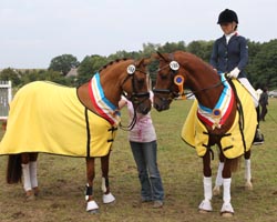 Landeschampioness Döra (l.) grüßt ihren Boxennachbarn High Dream, der zum zweiten Mal die Landesschärpe trägt. Landeschampioness Döra (l.) grüßt ihren Boxennachbarn High Dream, der zum zweiten Mal die Landesschärpe trägt.